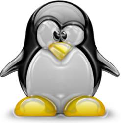 penguin pingouin pinguino 215